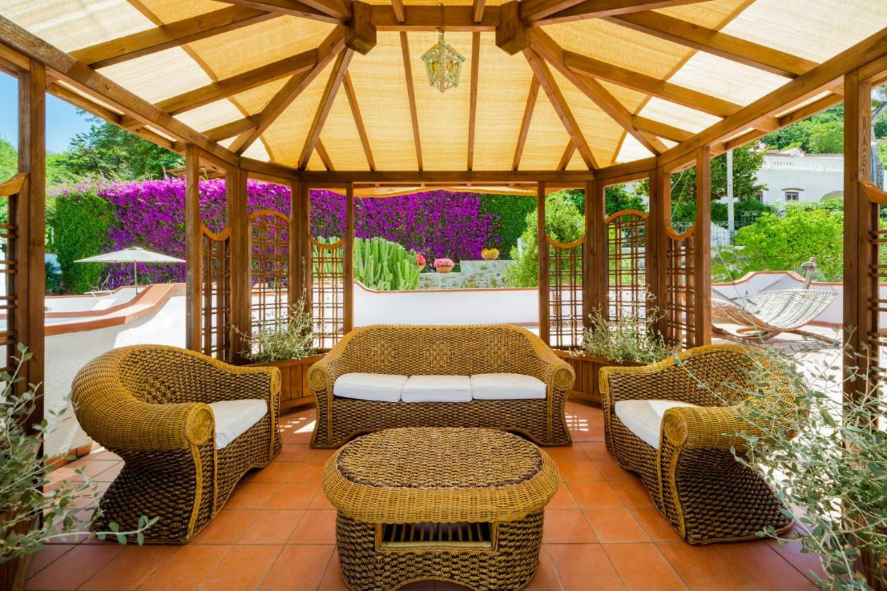 Araucária Casamicciola Terme