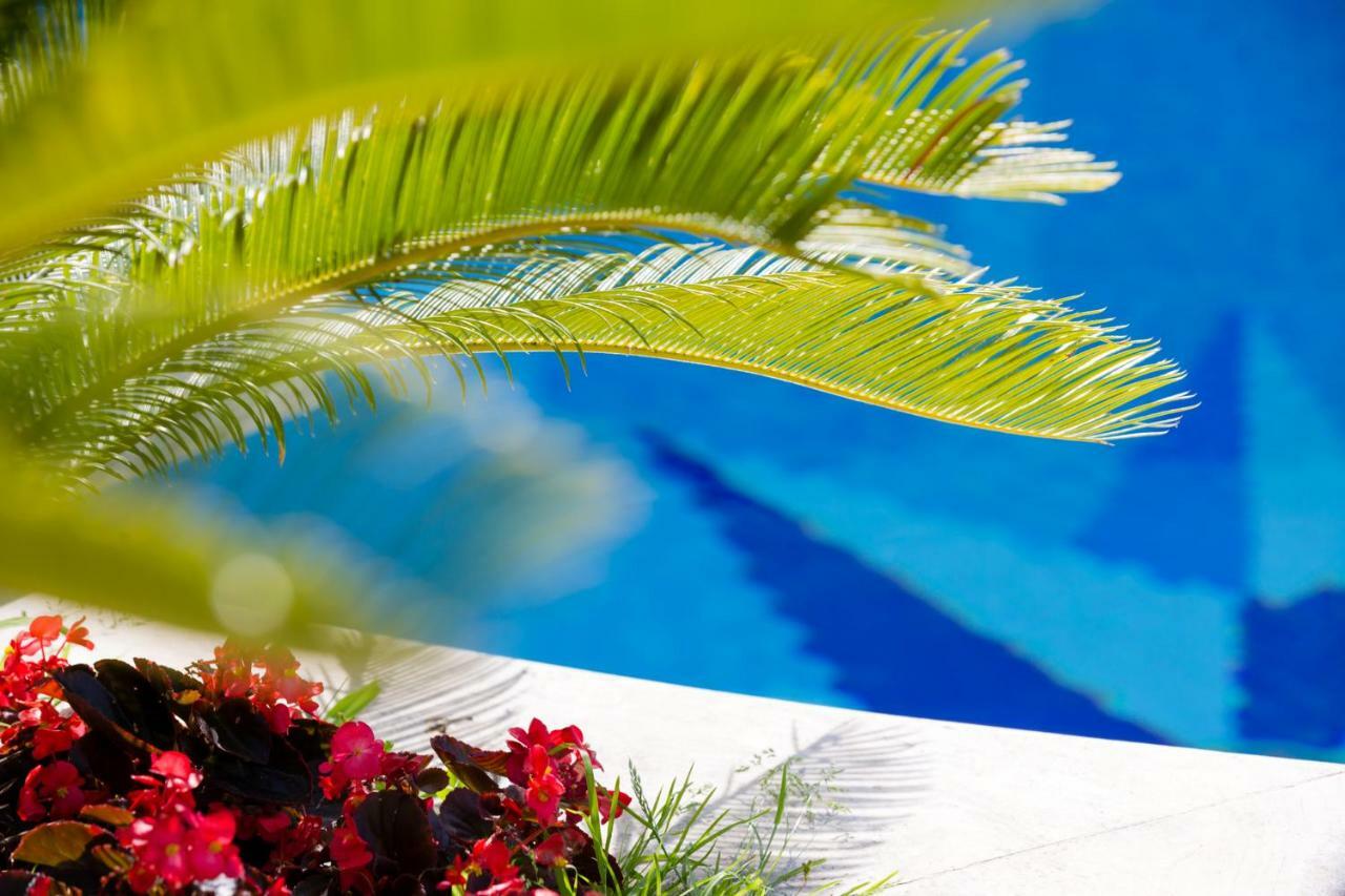 Araucaria Villa *
