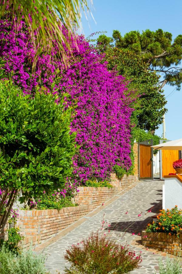 Villa Araucária